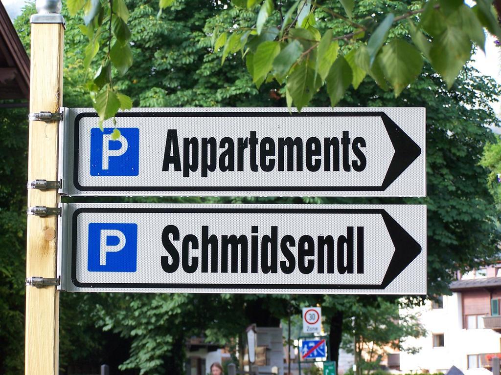 Appartements Schmidsendl Lofer Esterno foto